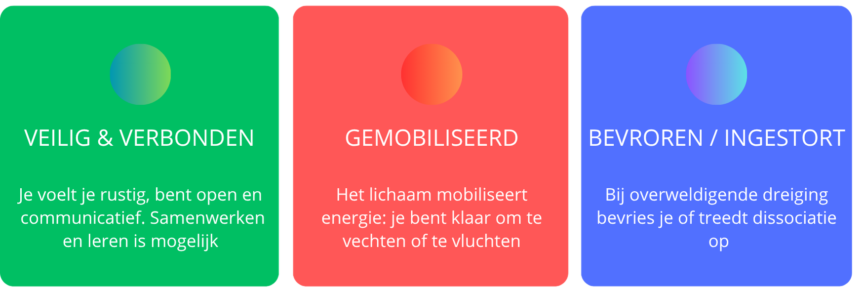 3 toestanden van het zenuwstelsel