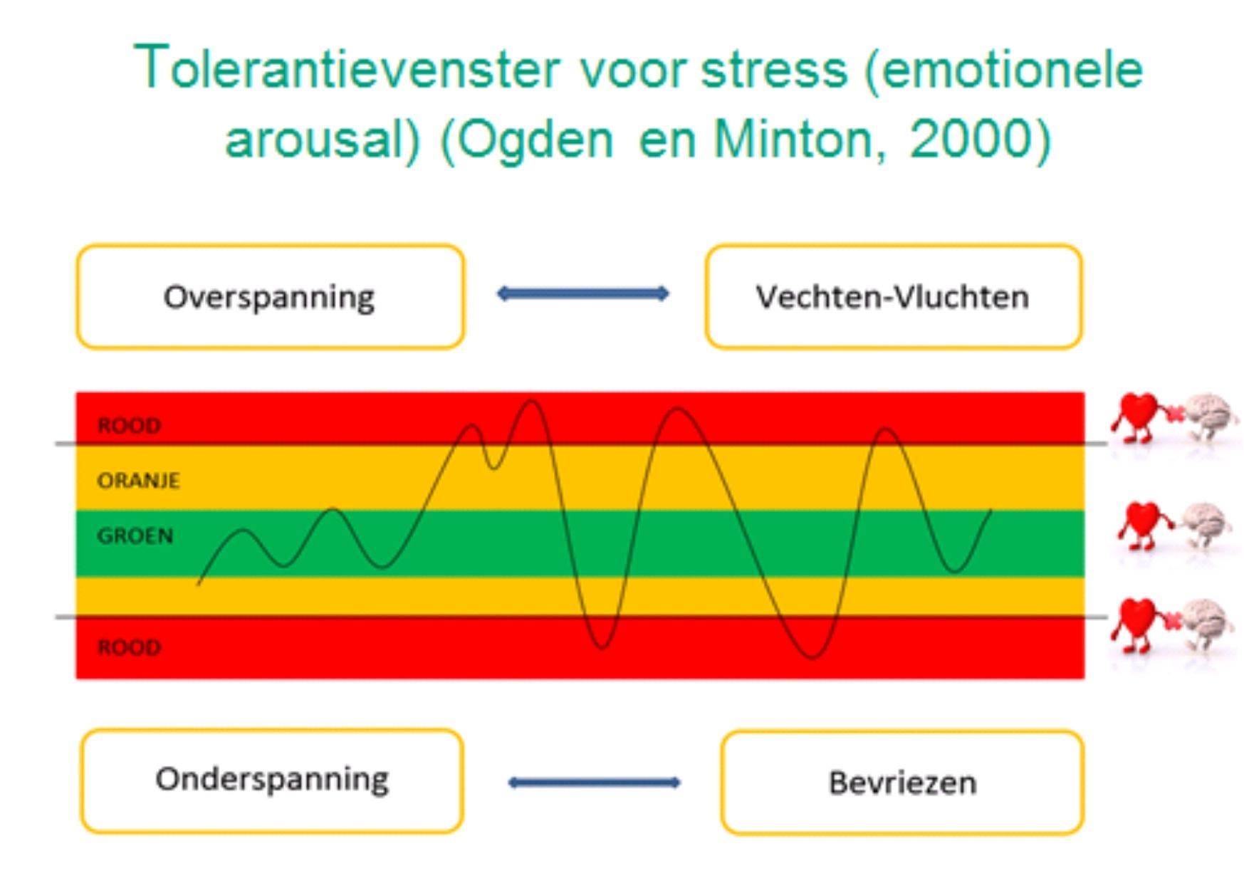 Tolerantievenster voor stress.